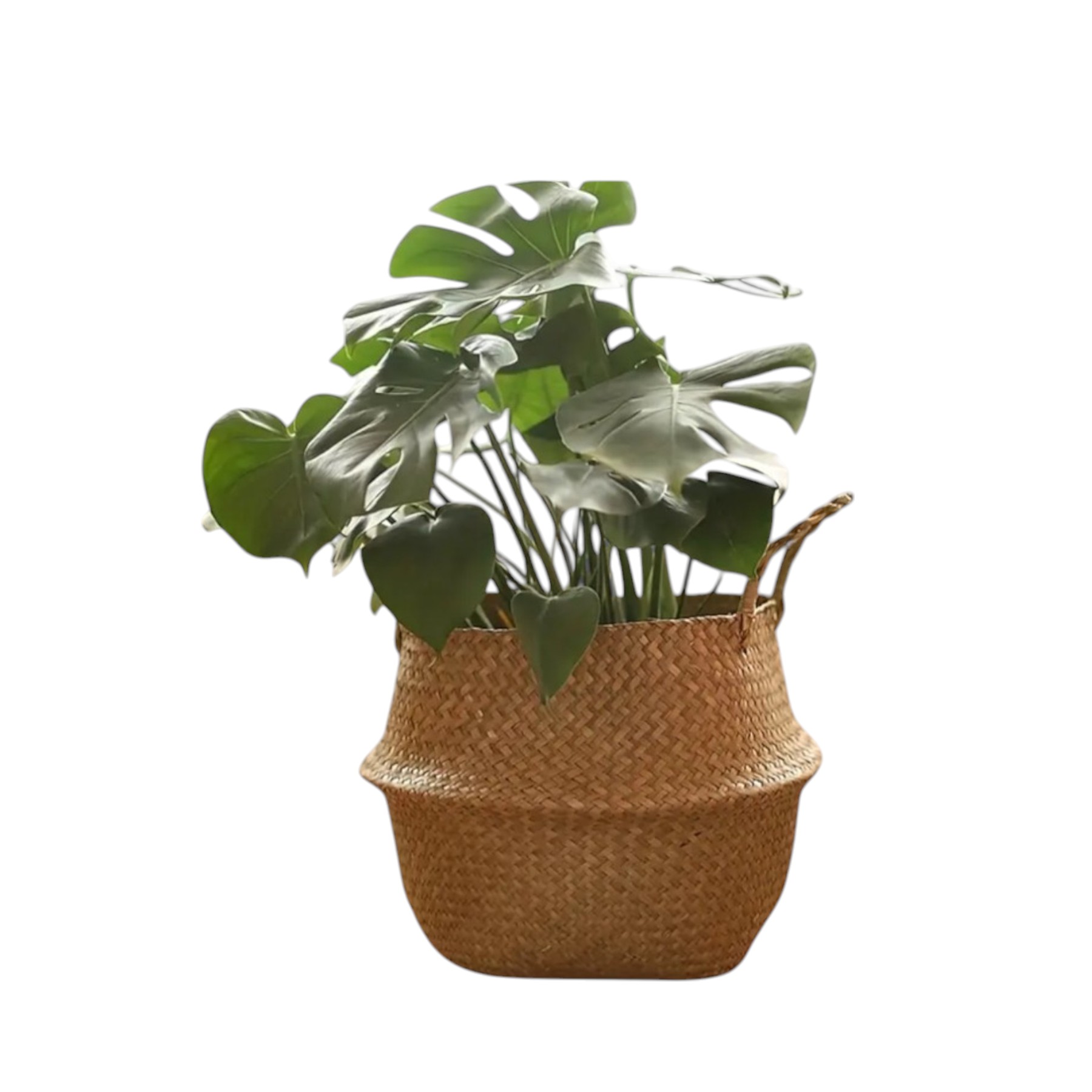 Cesta-cubre-maceta-hecha-a-mano-100-Ratan.-Photoroom-Photoroom-3